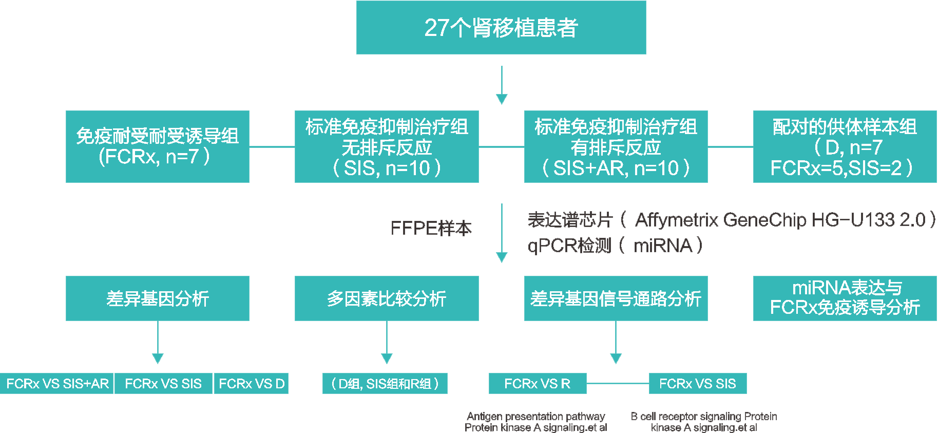 2024澳门2024免费原料