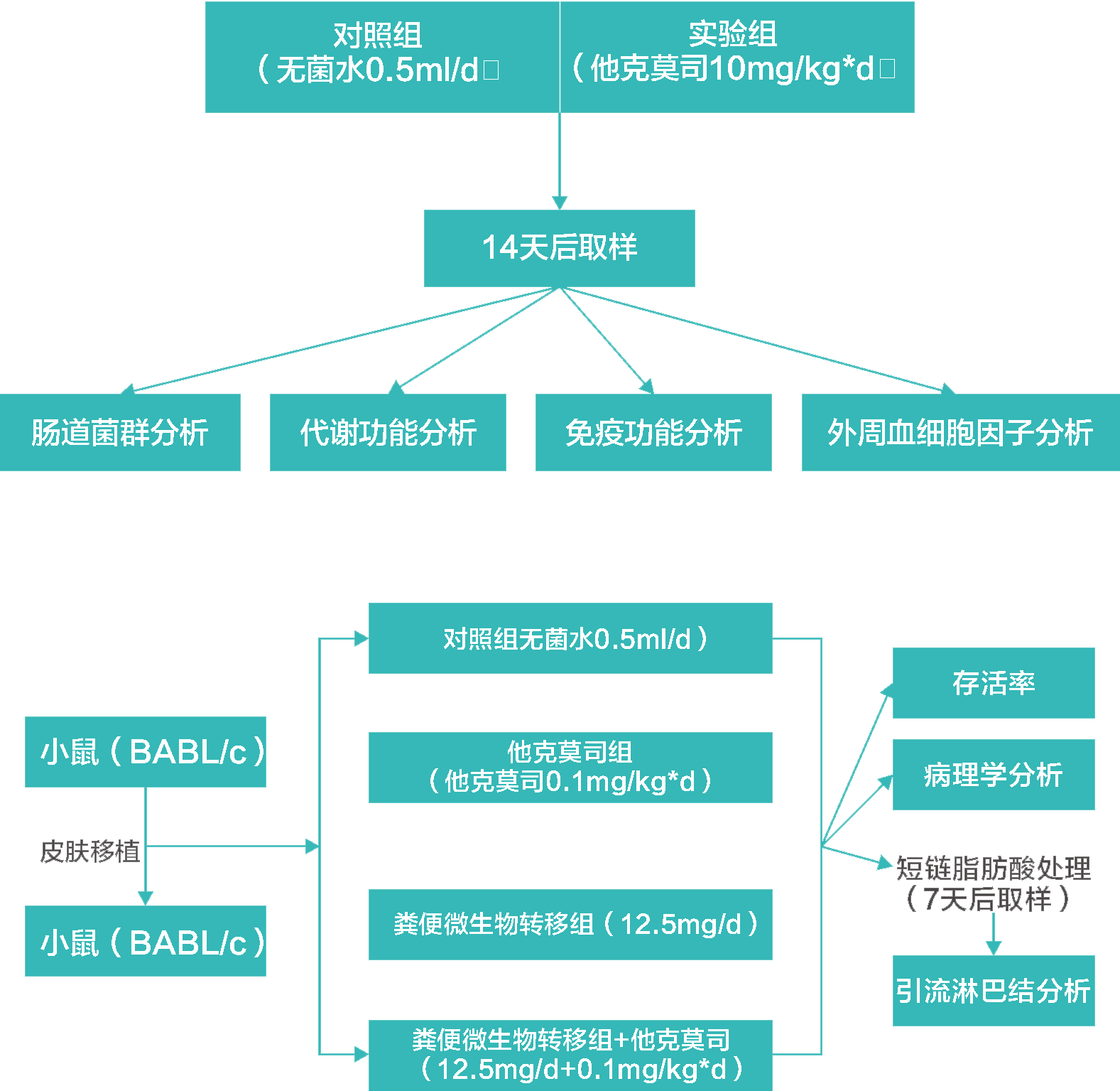 2024澳门2024免费原料