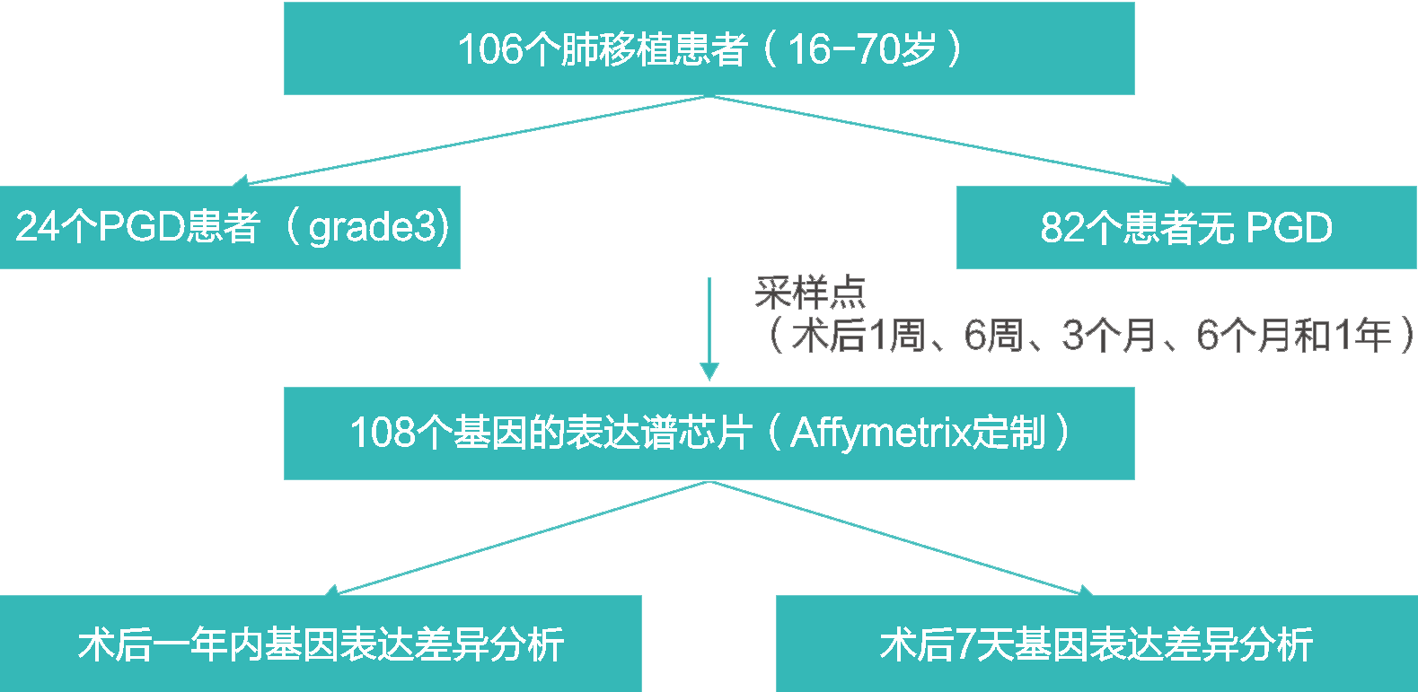 2024澳门2024免费原料