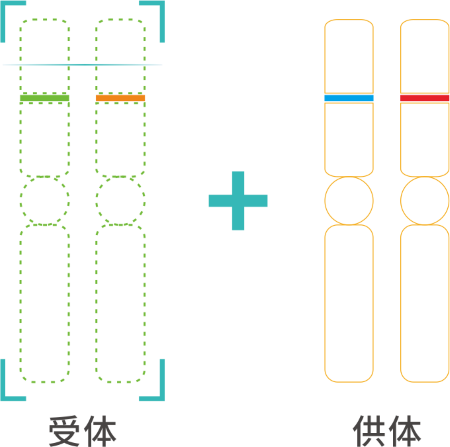 2024澳门2024免费原料