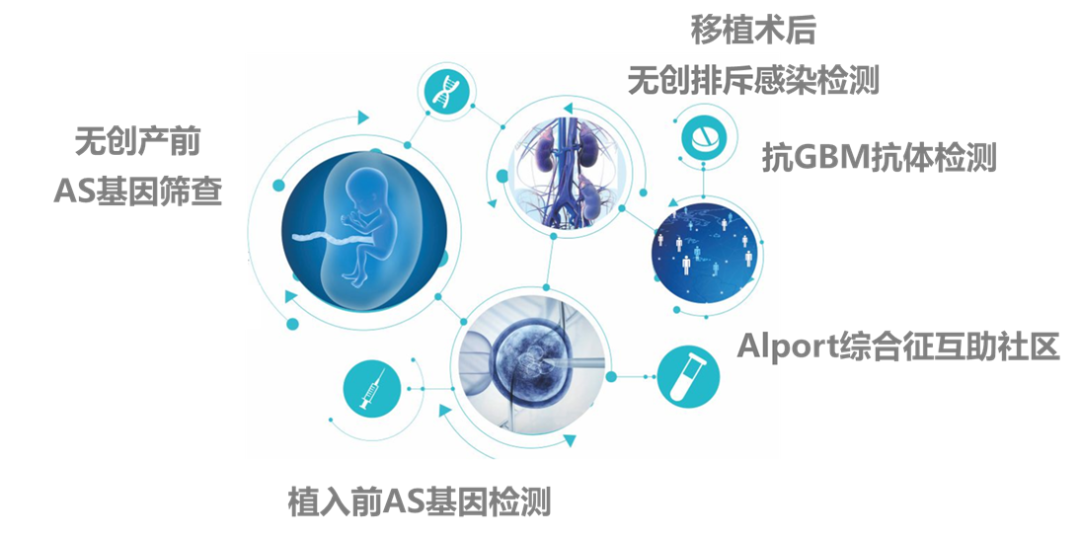 2024澳门2024免费原料